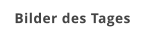 Bilder des Tages